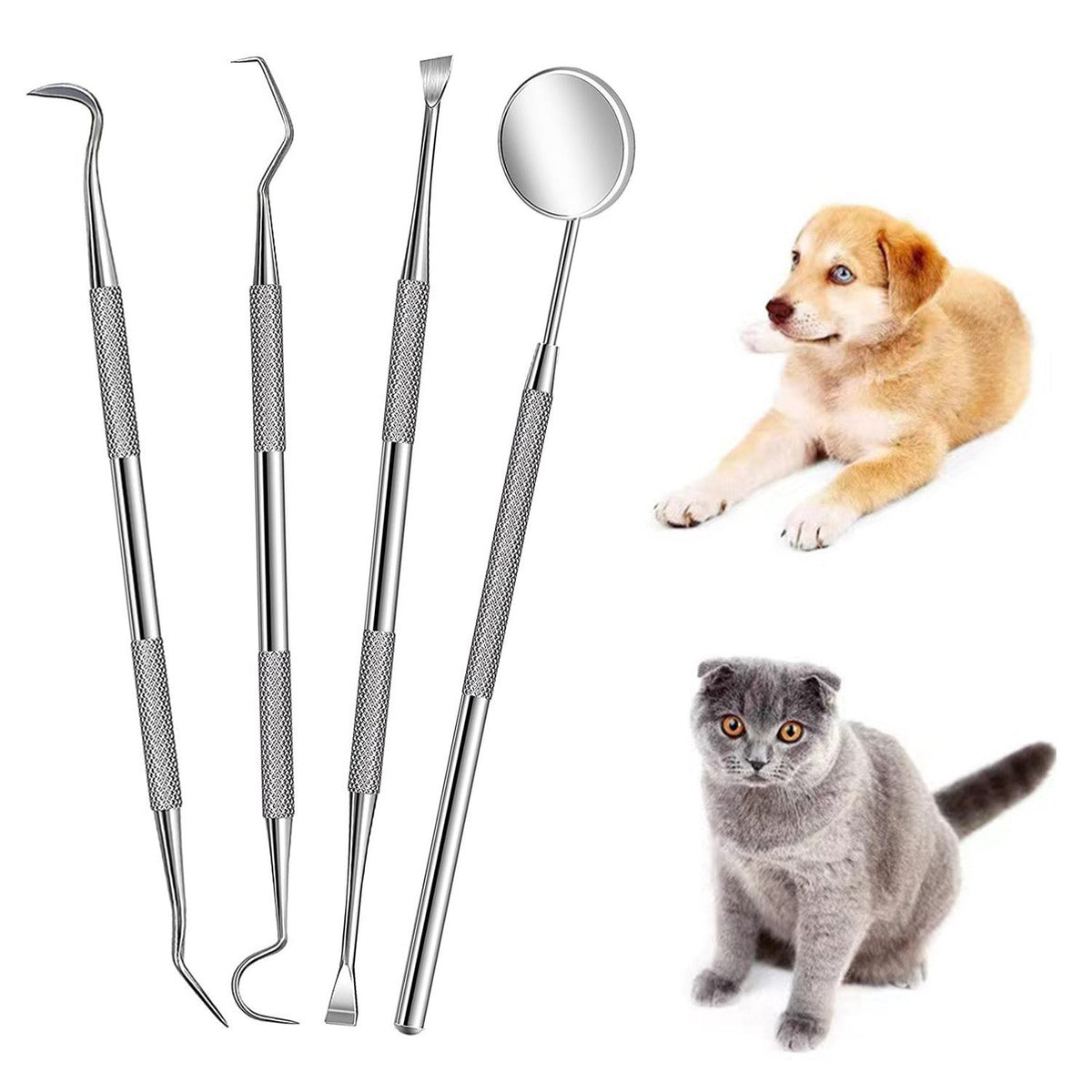 COOL-i ®Zahnpflege für Tiere,Hund Zahnreinigung Kit, Edelstahl Zahnpflege Set Zahnreinigung Werkzeug 3 Stück