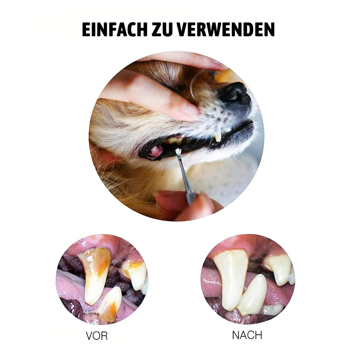 COOL-i ®Zahnpflege für Tiere,Hund Zahnreinigung Kit, Edelstahl Zahnpflege Set Zahnreinigung Werkzeug 3 Stück